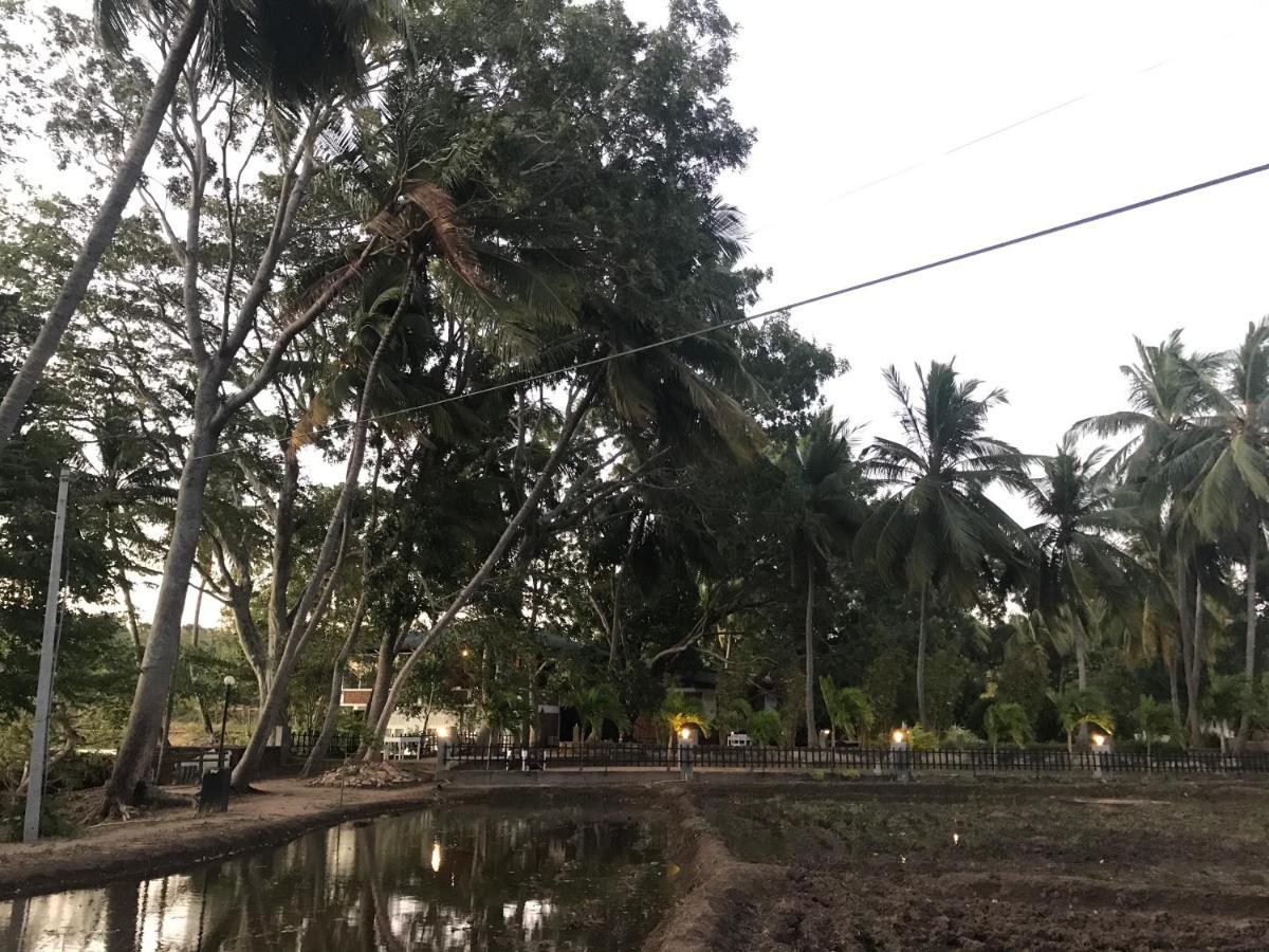 Sethway Village Minneriya Luaran gambar