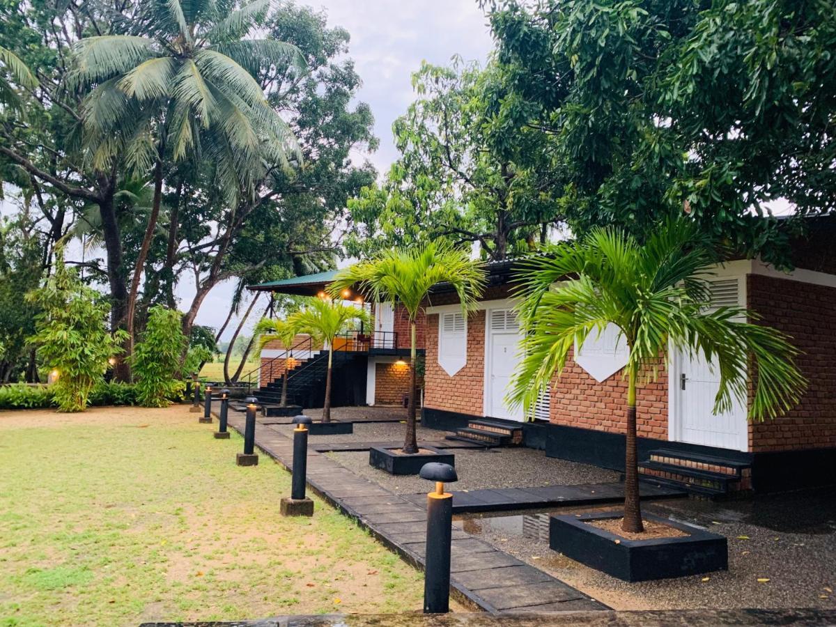 Sethway Village Minneriya Luaran gambar